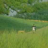 钱小样经典语录(二)