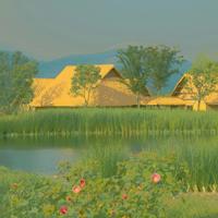 宁孤独终老，也不愿做你的回眸一笑