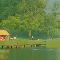 qq空间说说唯美图片