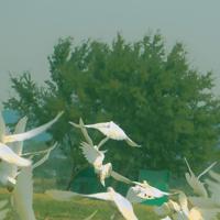 表姐的婚姻幸福经