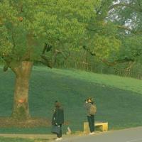 流泪的风景是谁给谁的痛