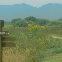 清新意境女生夏日图片_你的清新感染了我的心