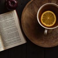 十七岁的单车划过青葱岁月