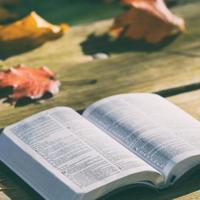 给心灵一个休息的时间,你会走的更远