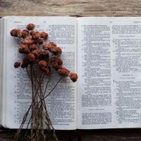 “经营”亲情，支持老公做孝子