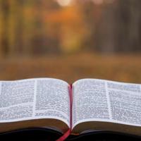 得到后又想自由,自由后又想拥有。