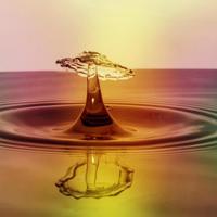 狡猾是一种冒险，狡猾的后果