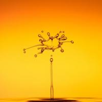 【写给父母的未来之书】 - 抓住0-7岁关键期培养一生的优势