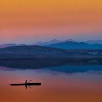在杏花的酒香里访问春天