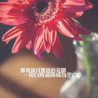 分分秒秒的爱情