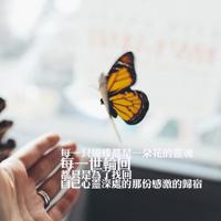 不要着急,最好的总会在不经意的时候出现。淡淡忧伤的心情语录