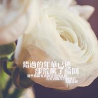 有一种爱叫醒悟