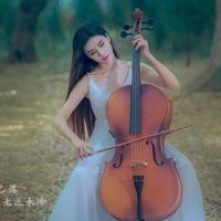 菜园小记:四季的田园风光