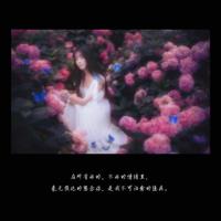 一直在路上文字图片