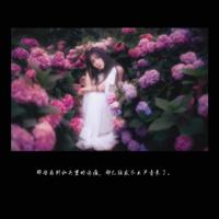 走着走着,花就开了散文1200字