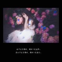 第一份工作散文欣赏