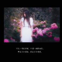 唯美伤感文字图片_伤心伤感的文字