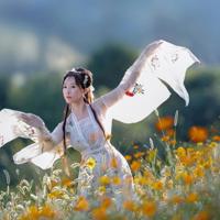 有那样一种纯洁