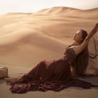 关于描写柳树的优美句子