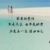 在秋里,等风也等你