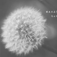 激励人生名言名句大全