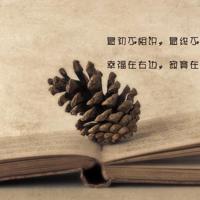 有一种爱叫做等待