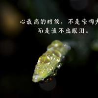 十六岁的傻姑娘