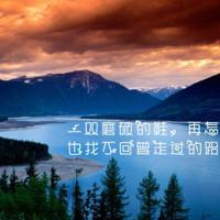 桔梗花等不来夏天