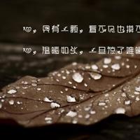 经典人生感悟：皇帝的三个问题