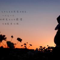 感恩的心,感谢有您