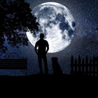 俞敏洪:生命最大的满足是心灵的富足