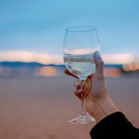 看见另外的生命