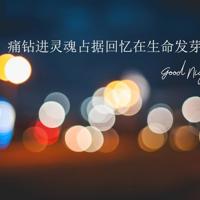 那一天，我们红尘陌路