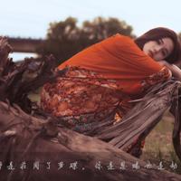 网络红人快速蹿红，音频视频洋洋经典 许四多经典语录