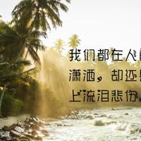 一段无知的路，铺满了落叶的苦