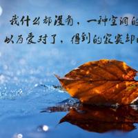 关于实干的名言警句,有关行动的名言名句