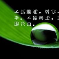 找到生活的平衡点