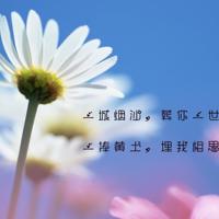你能看到“一无所有”吗?