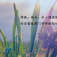 MM买裤子杀价的过程,超级搞笑