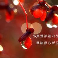 深深的情、无言的爱