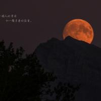 优美抒情散文 活着就是幸福