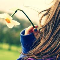 浪漫玫瑰花爱情文字图片_温馨简单的誓言