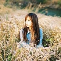 散落风里的爱情