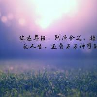 九十九段精彩的人生感悟（一）