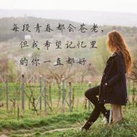 梅花在冬日里绽放