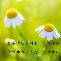 恋殇三题——写给我那位因失恋而痛苦的青年朋友