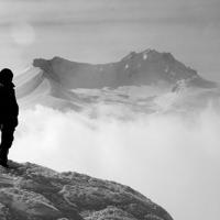 好似秋凉一个秋