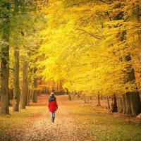 “势在必行”“势所不行”