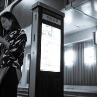 那些落花背后的故事