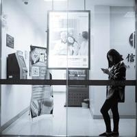 月好花晴，修植心境